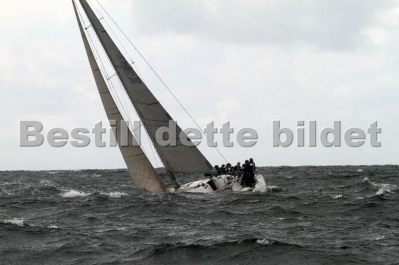 ORCi 203.jpg